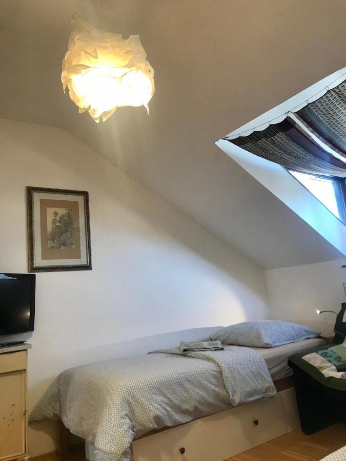 ברנו Apartman Slovinska 28 מראה חיצוני תמונה