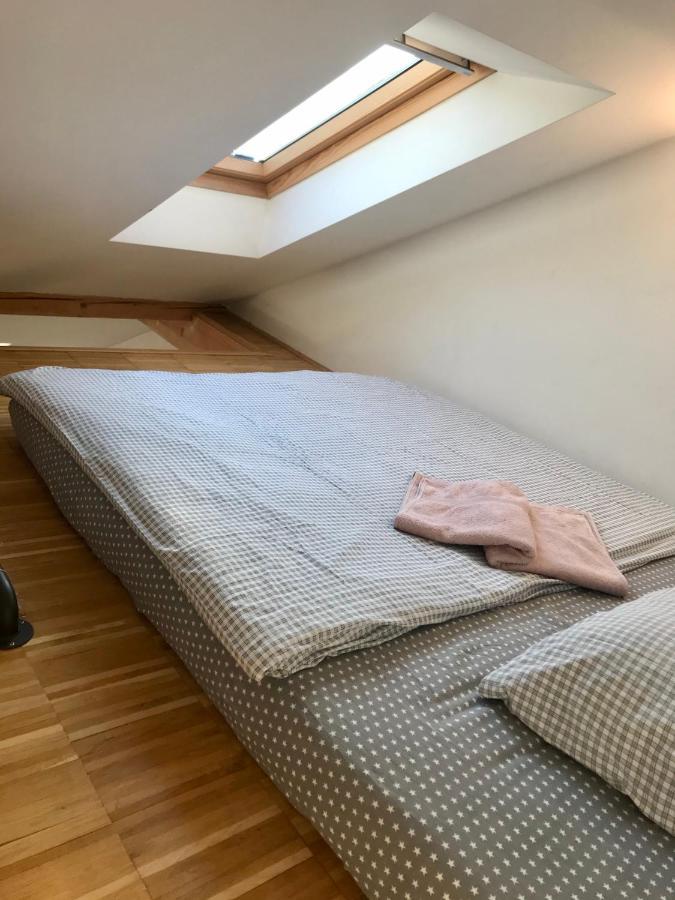 ברנו Apartman Slovinska 28 מראה חיצוני תמונה