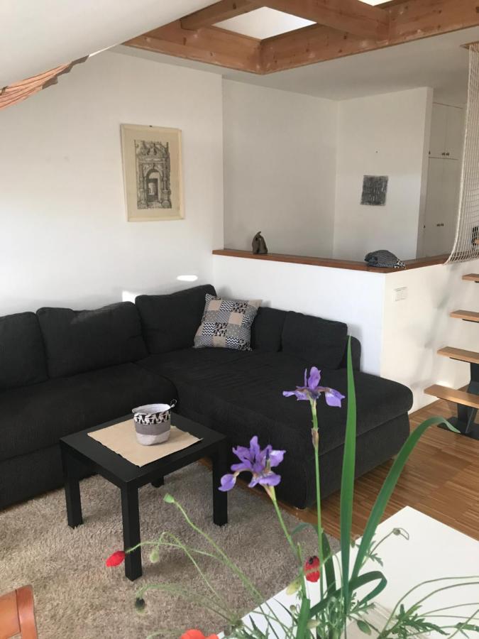ברנו Apartman Slovinska 28 מראה חיצוני תמונה