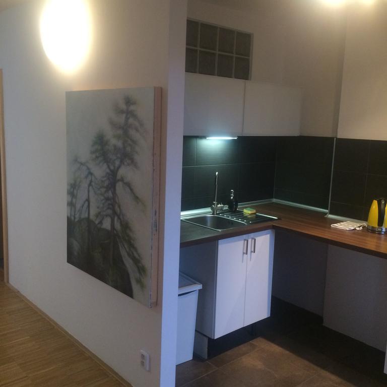 ברנו Apartman Slovinska 28 מראה חיצוני תמונה