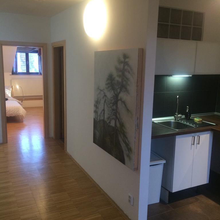 ברנו Apartman Slovinska 28 מראה חיצוני תמונה