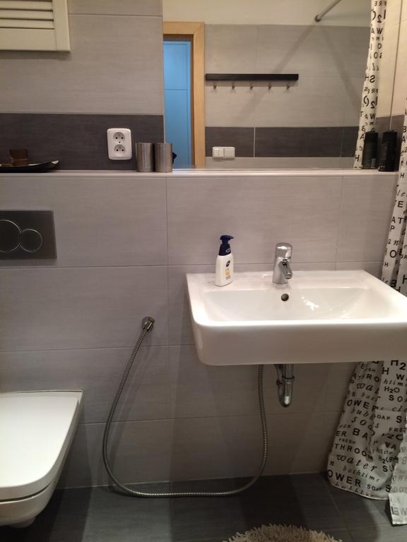 ברנו Apartman Slovinska 28 מראה חיצוני תמונה