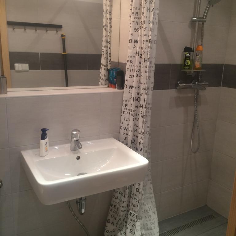 ברנו Apartman Slovinska 28 מראה חיצוני תמונה