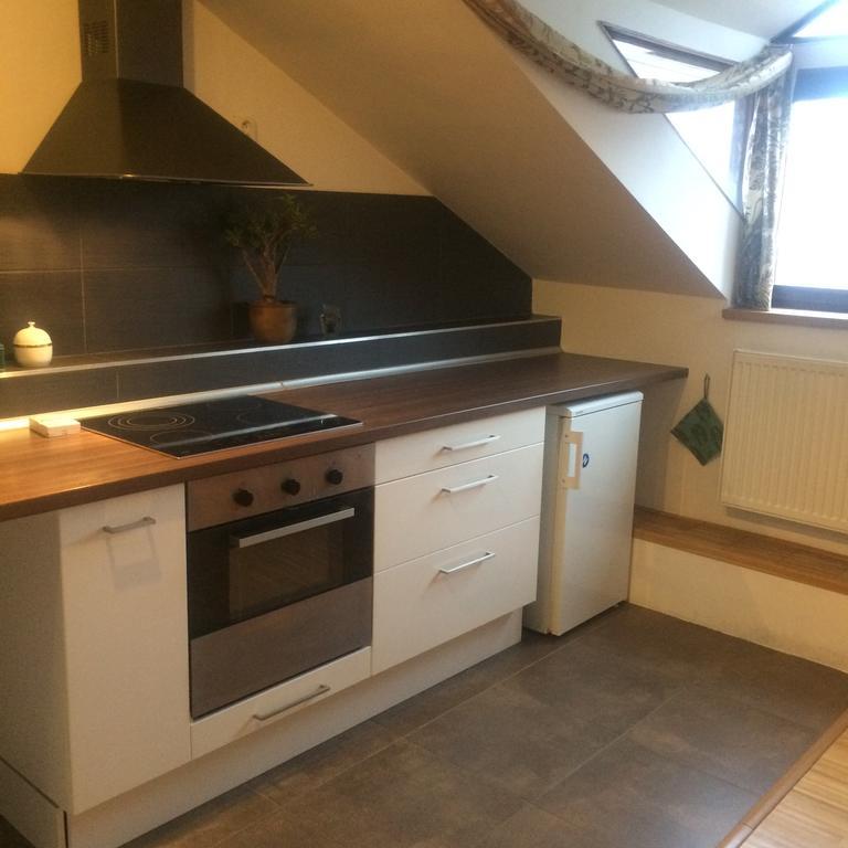 ברנו Apartman Slovinska 28 מראה חיצוני תמונה